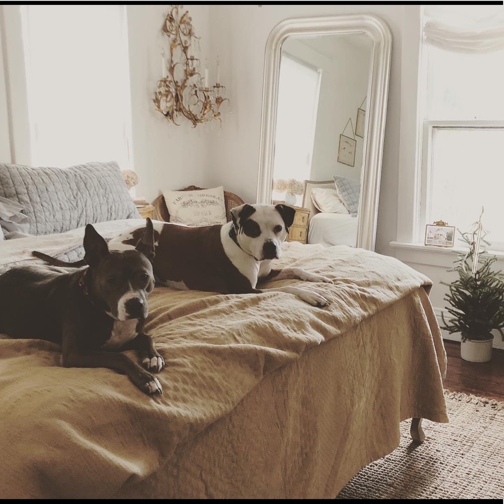 🤍Meet your Posher, Ali🖤 - Picture 3 of 8